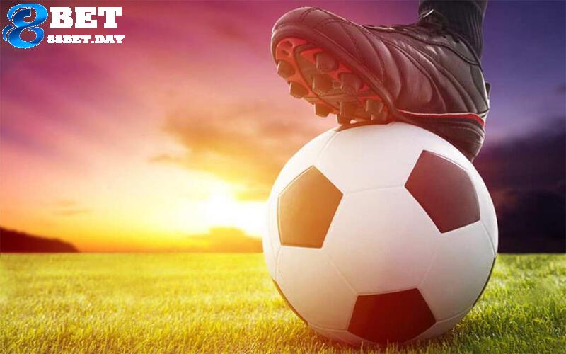 Kèo rung là gì? Cách chơi kèo rung tại 88bet ăn thưởng lớn 8 Bắt kèo rung chuẩn giúp nâng cao cơ hội giành chiến thắng lên mức cao nhất